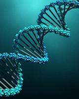 DNA Results and Your Genealogical Research